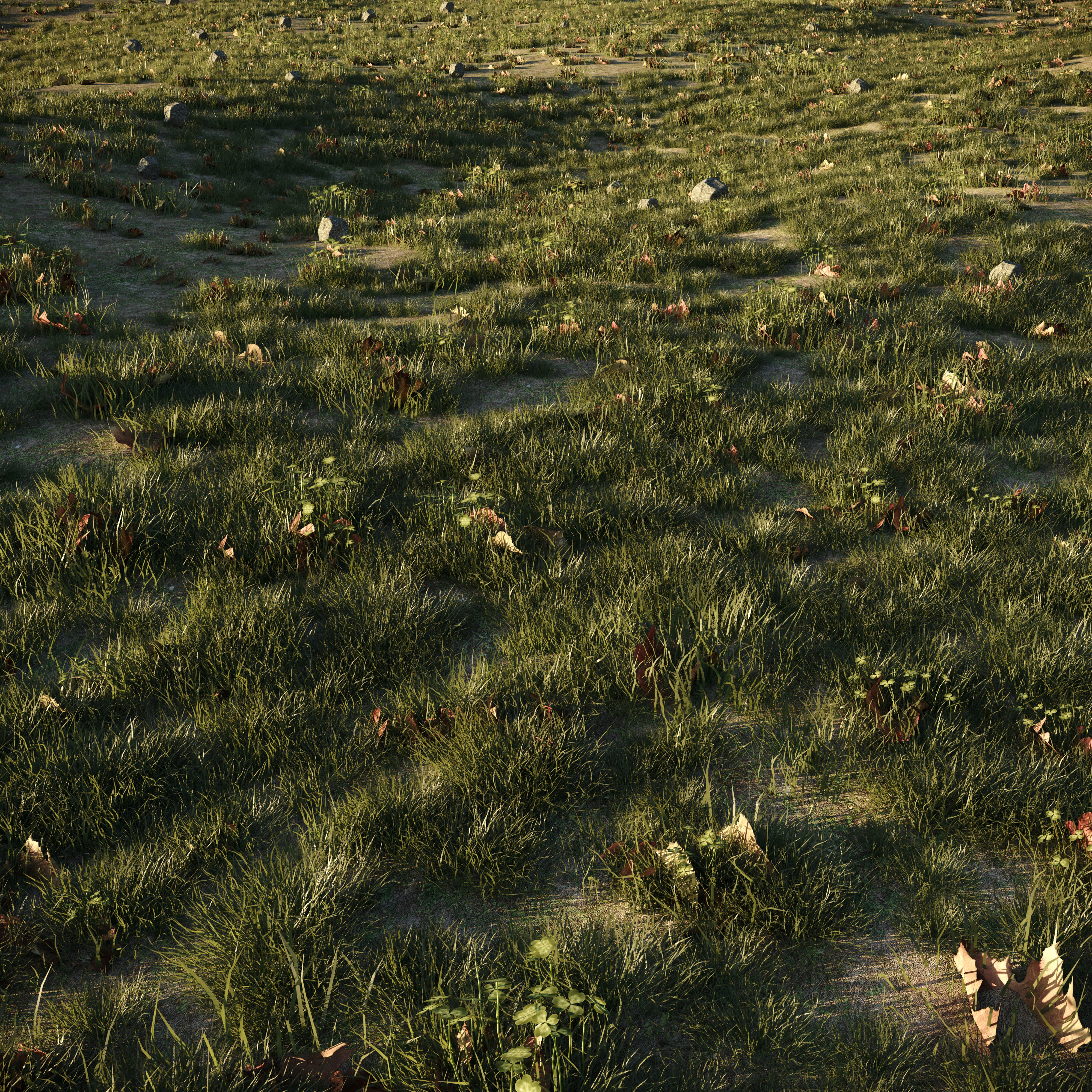 House Grass or Lawns 3D model_1