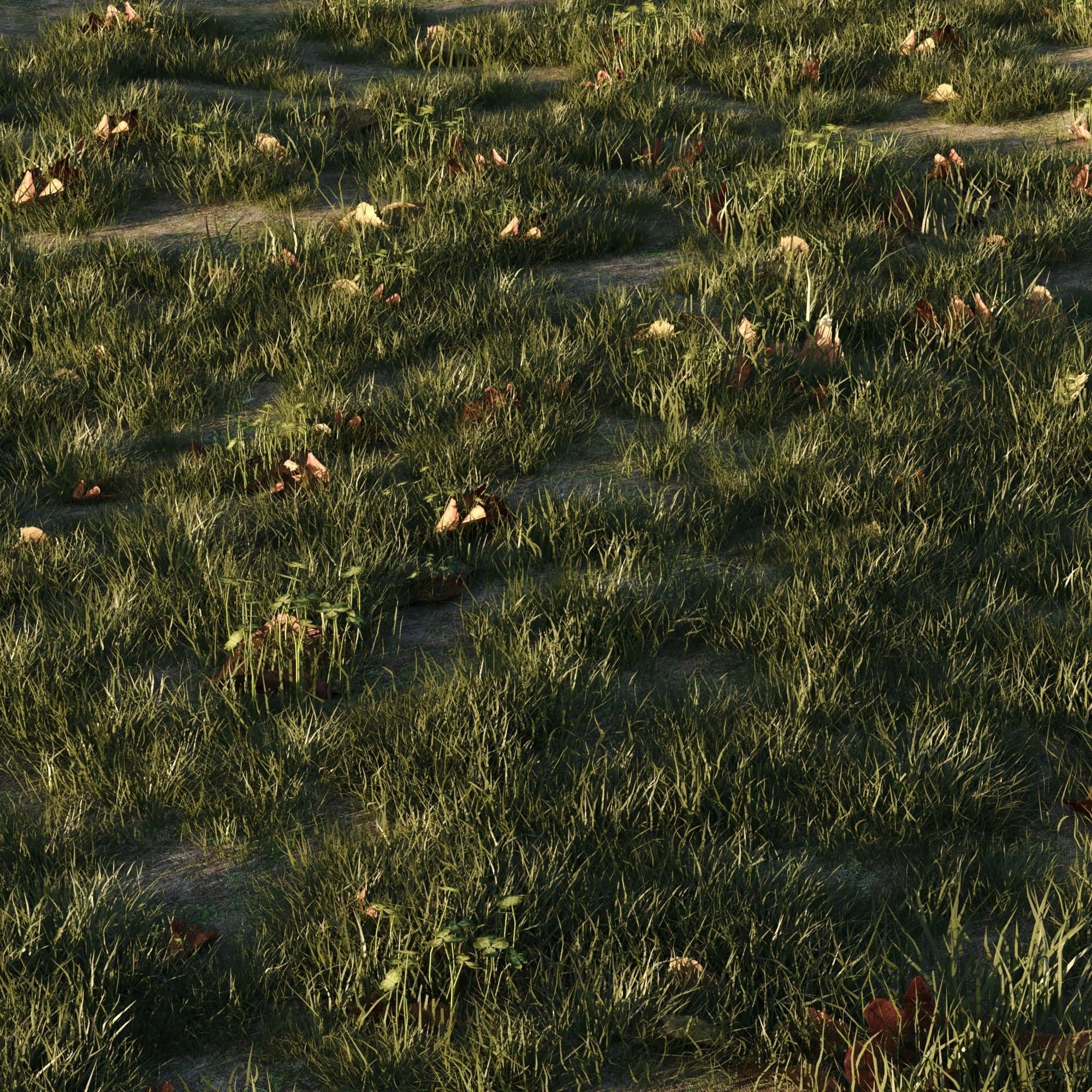 House Grass or Lawns 3D model_4