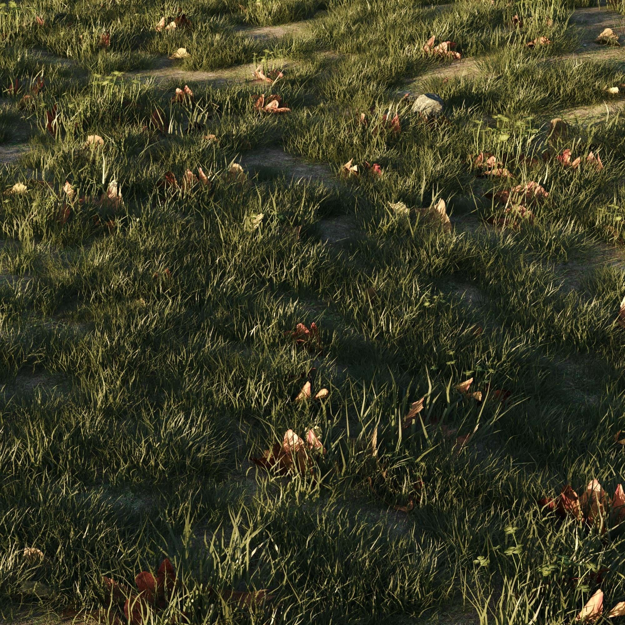 House Grass or Lawns 3D model_3