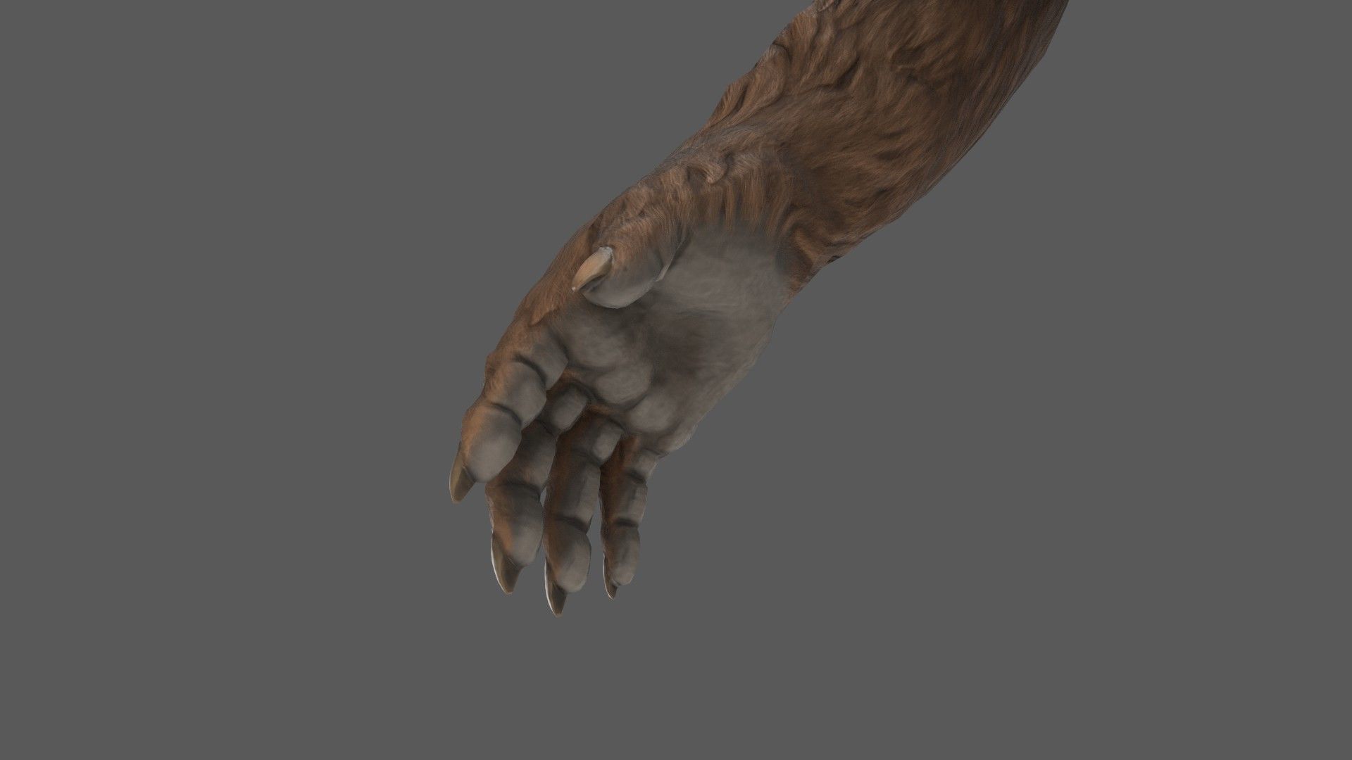 Bear Creature Game Ready Low-poly 3D model_7