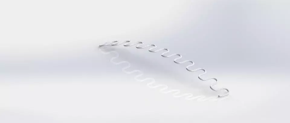wave spring Free 3D model