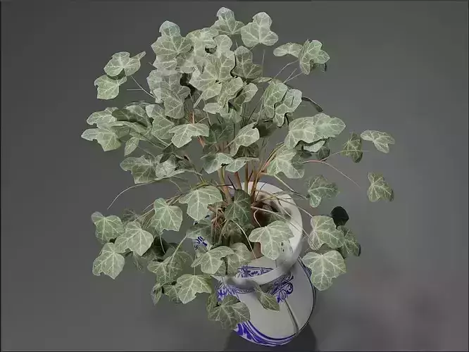 flower vase  3D model
