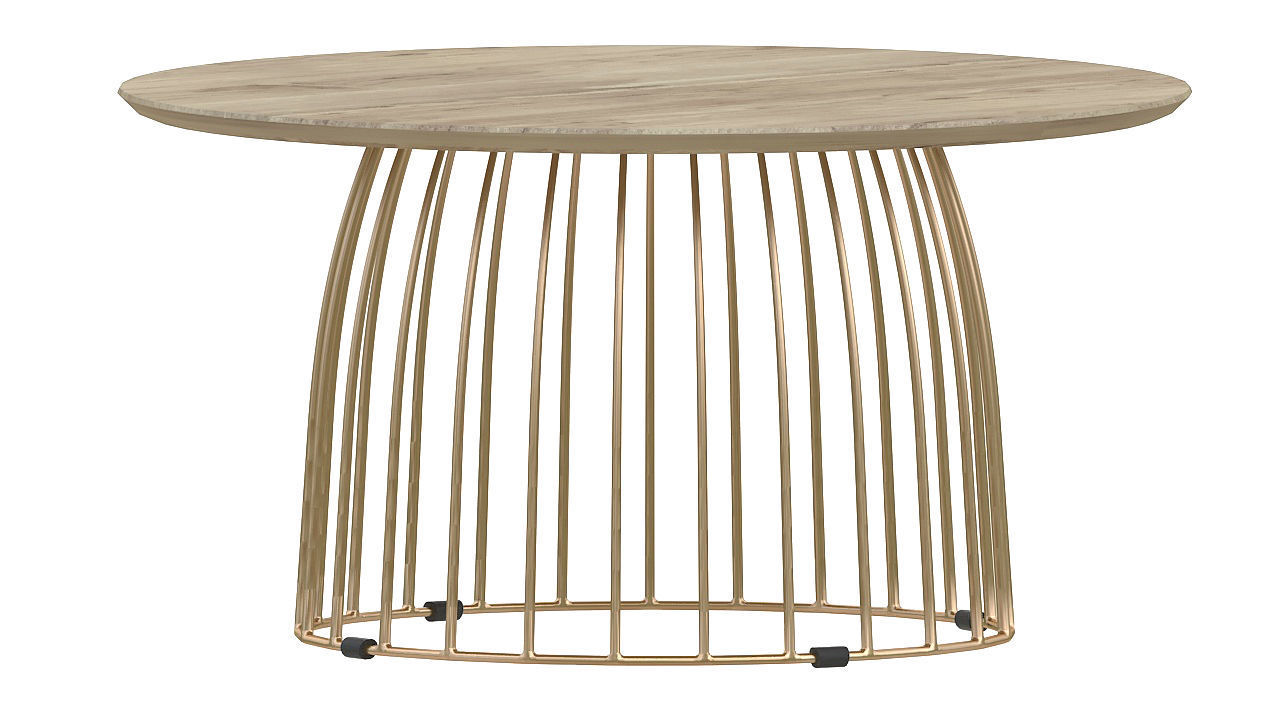Bird cage table 3D model_3