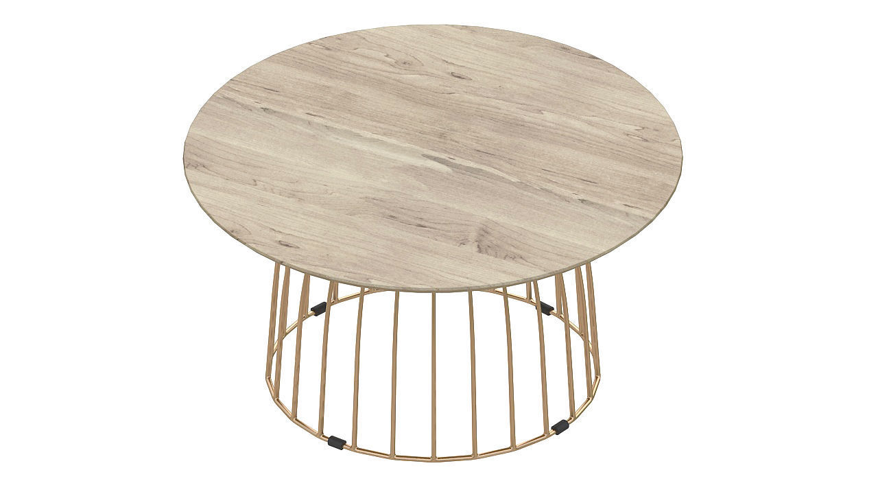 Bird cage table 3D model_1