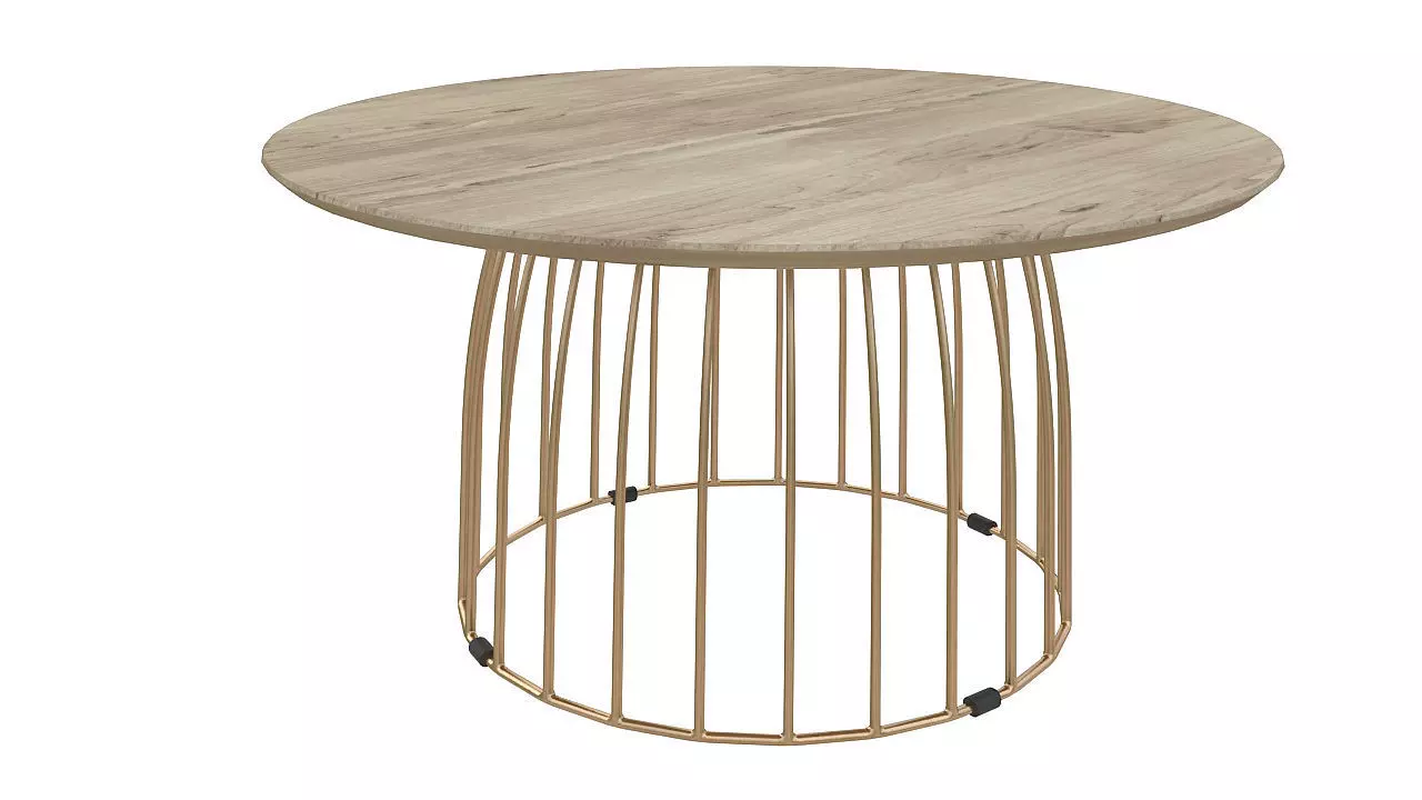 Bird cage table 3D model_0