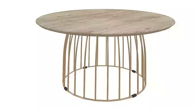 Bird cage table 3D model
