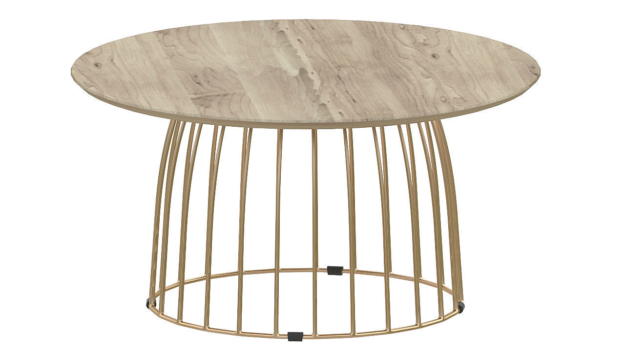 Bird cage table 3D model_2
