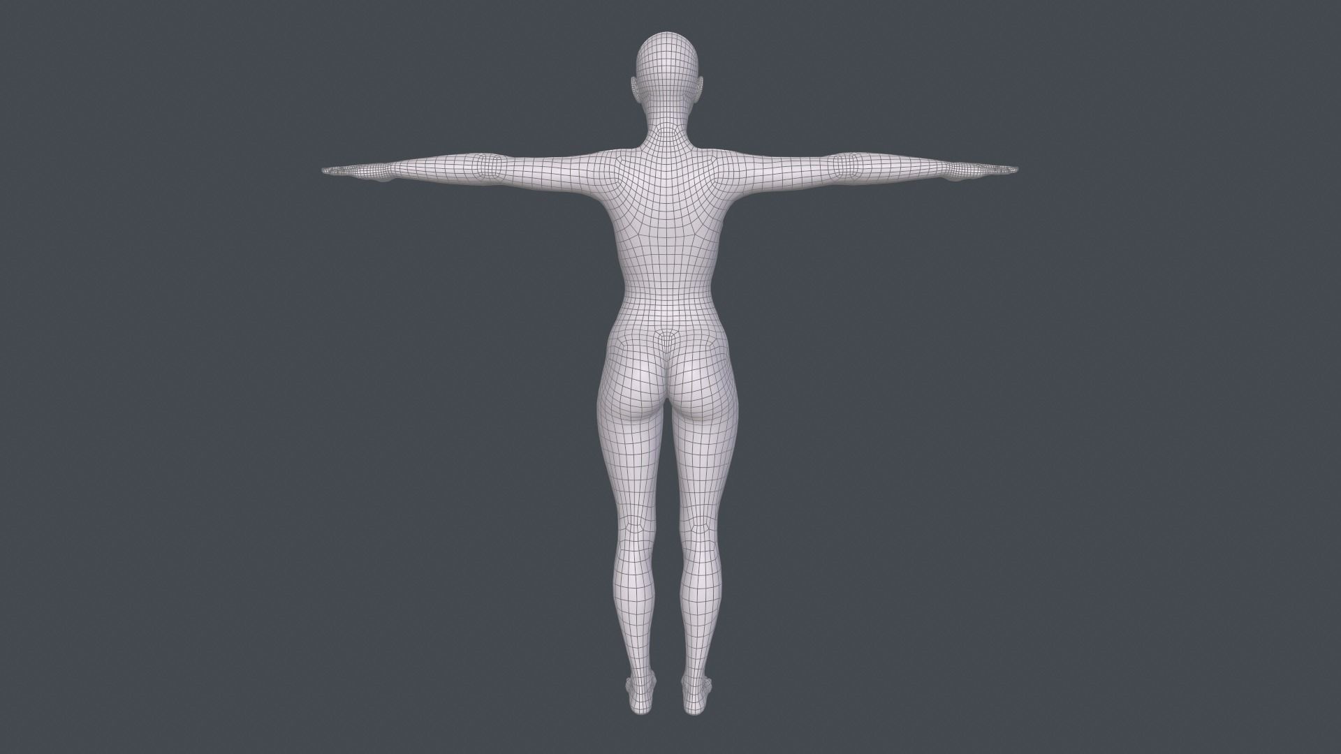 Female Basemesh Low-poly 3D model_12