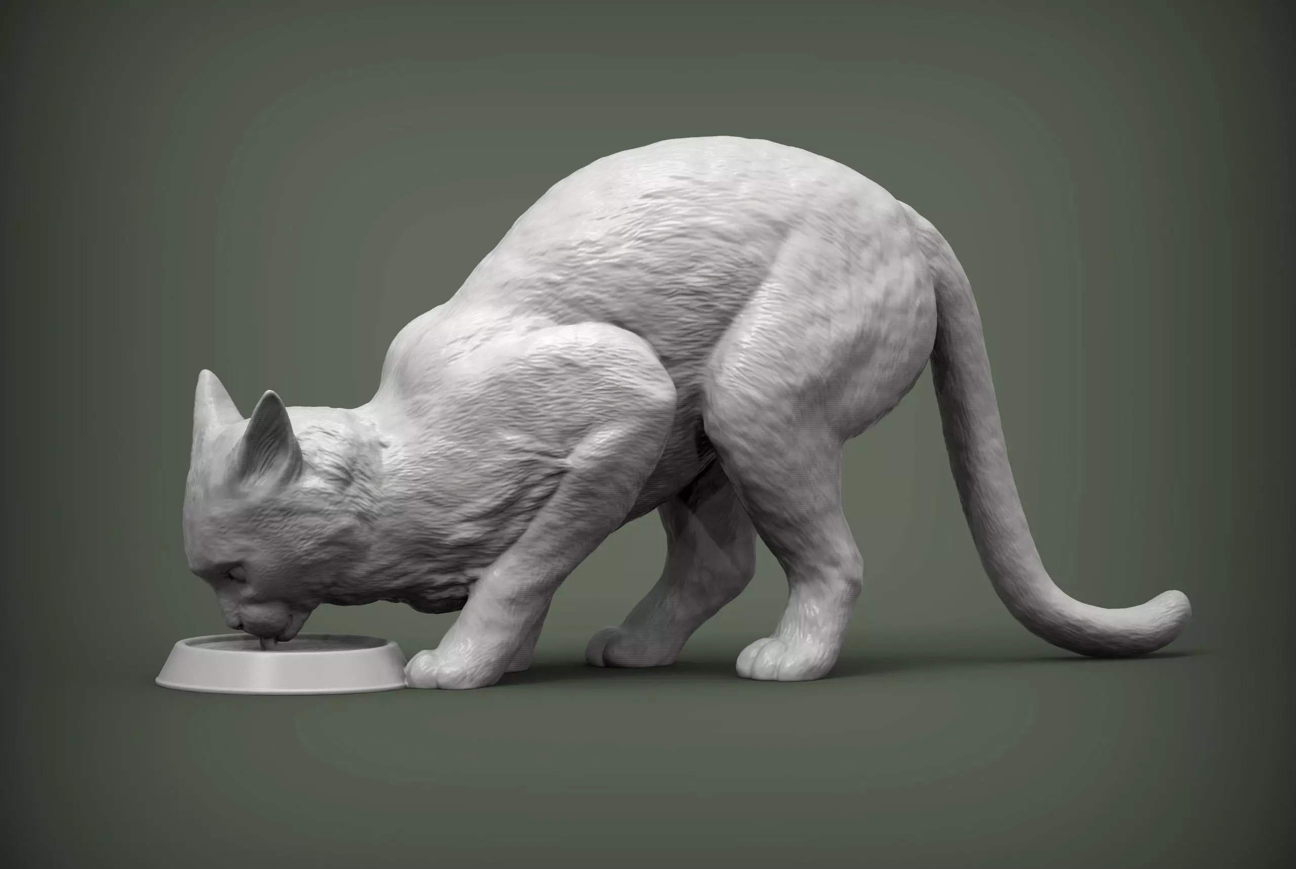 cat drinks milk 3D print model