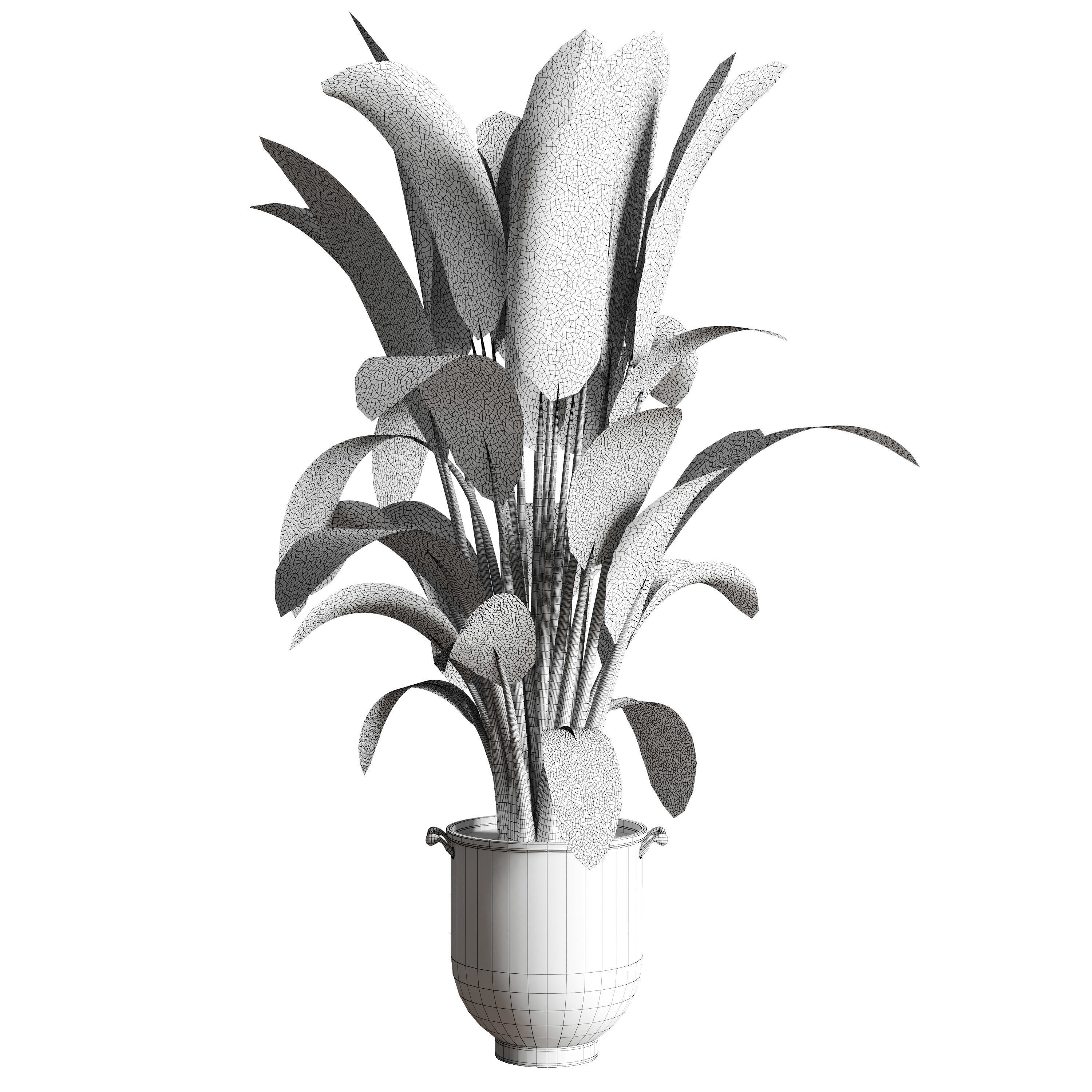 Ficus Rubbery plant by concrete dirt vase with handle 3D model_4