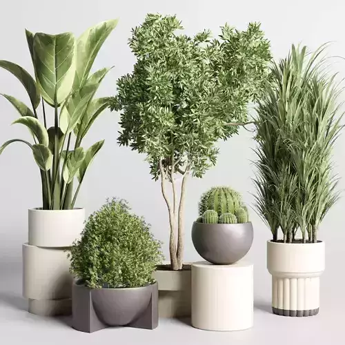 Collection of indoor plants with modern minimal pots