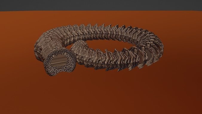 ARTICULATED SAND WORM 3D print model