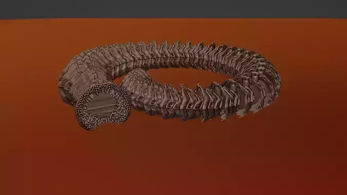 ARTICULATED SAND WORM 3D print model