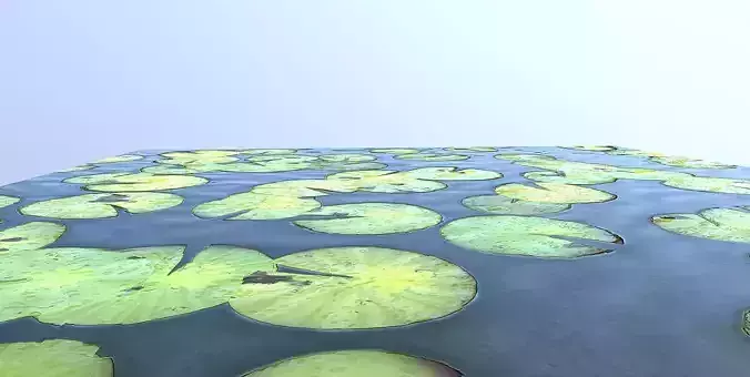 Terrain - Lake- Seamless - PBR 