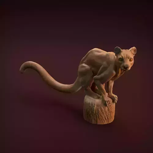 Fossa for 3D Printing