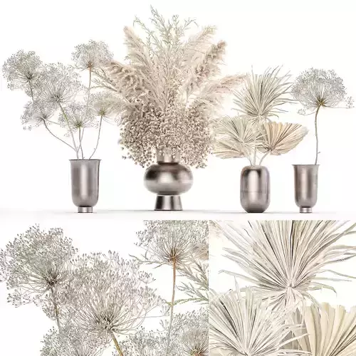 Set of bouquets of dried flowers pampas grass 236