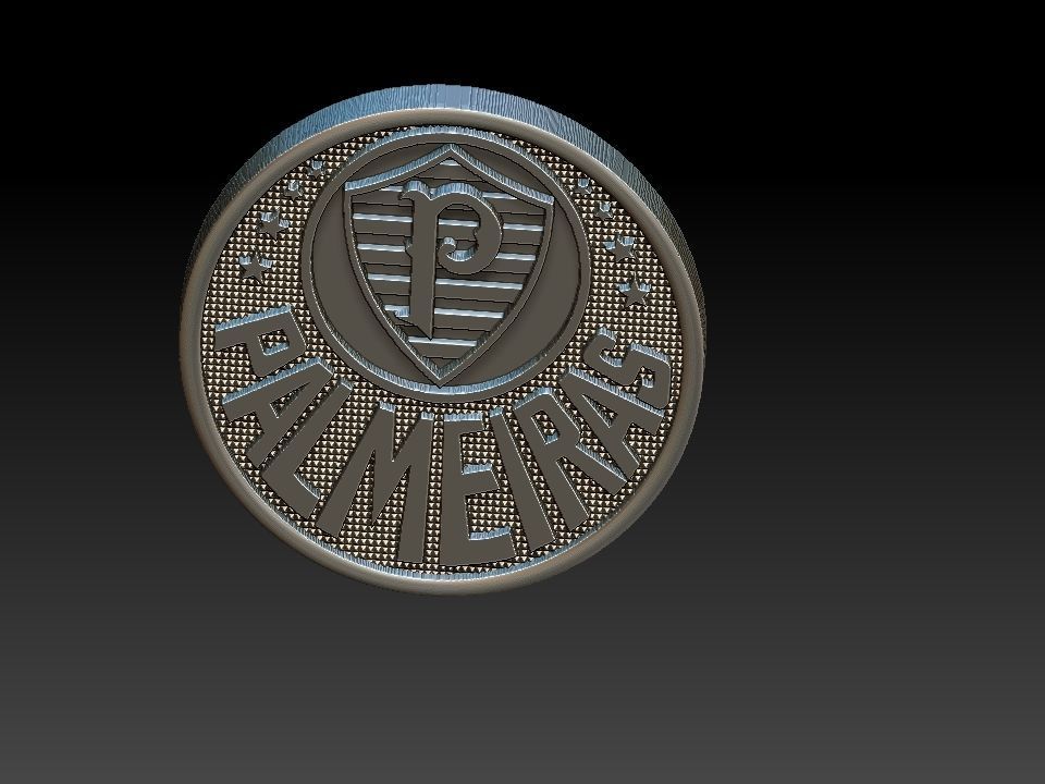 Palmeiras Sociedade Esportiva Soccer 3D print model_8