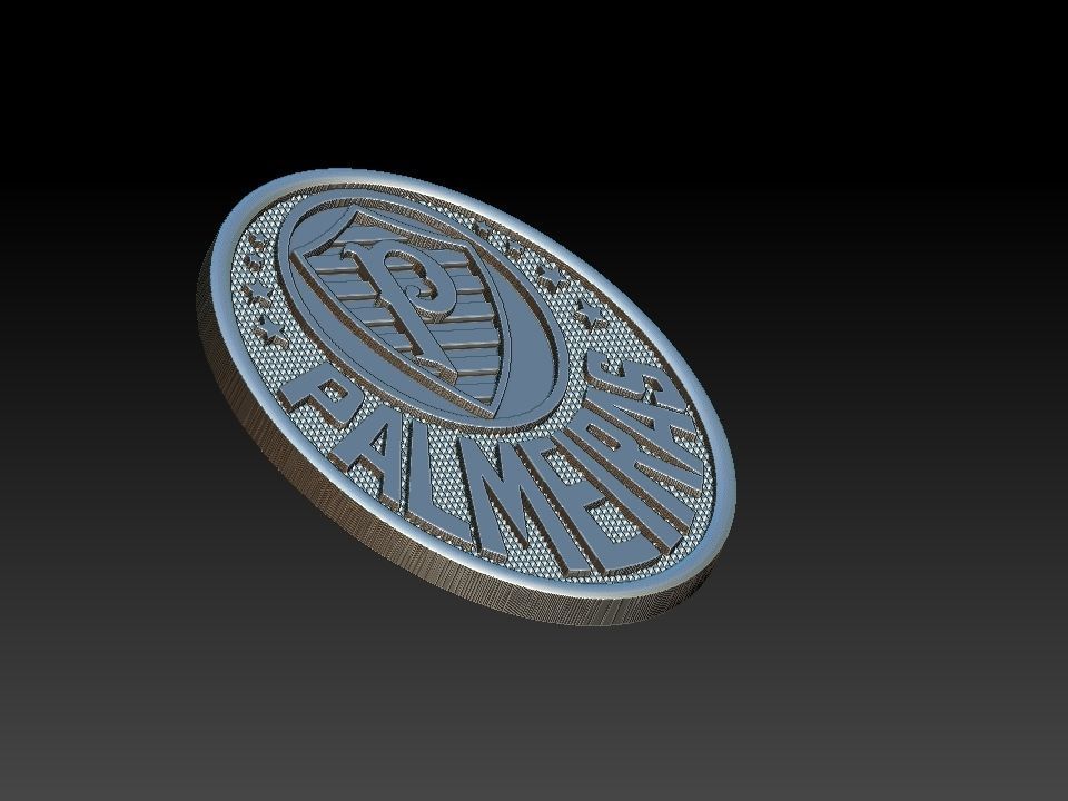Palmeiras Sociedade Esportiva Soccer 3D print model_13