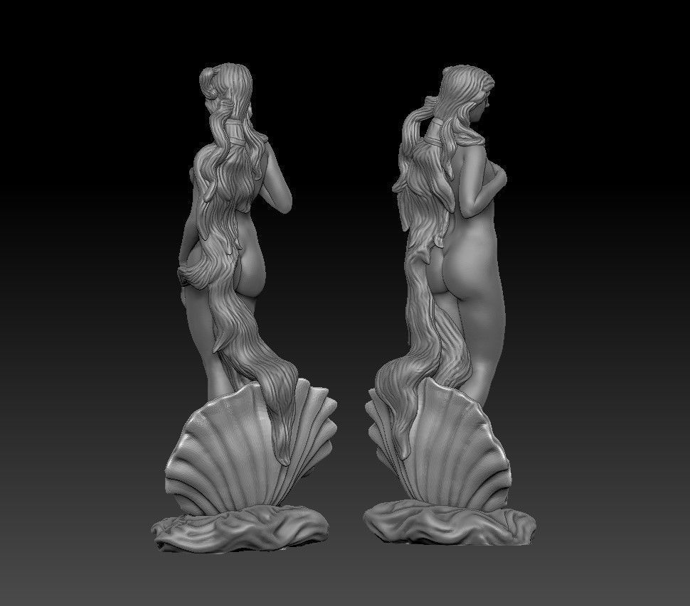 The birth of venus statue 3d print 3D print model_9