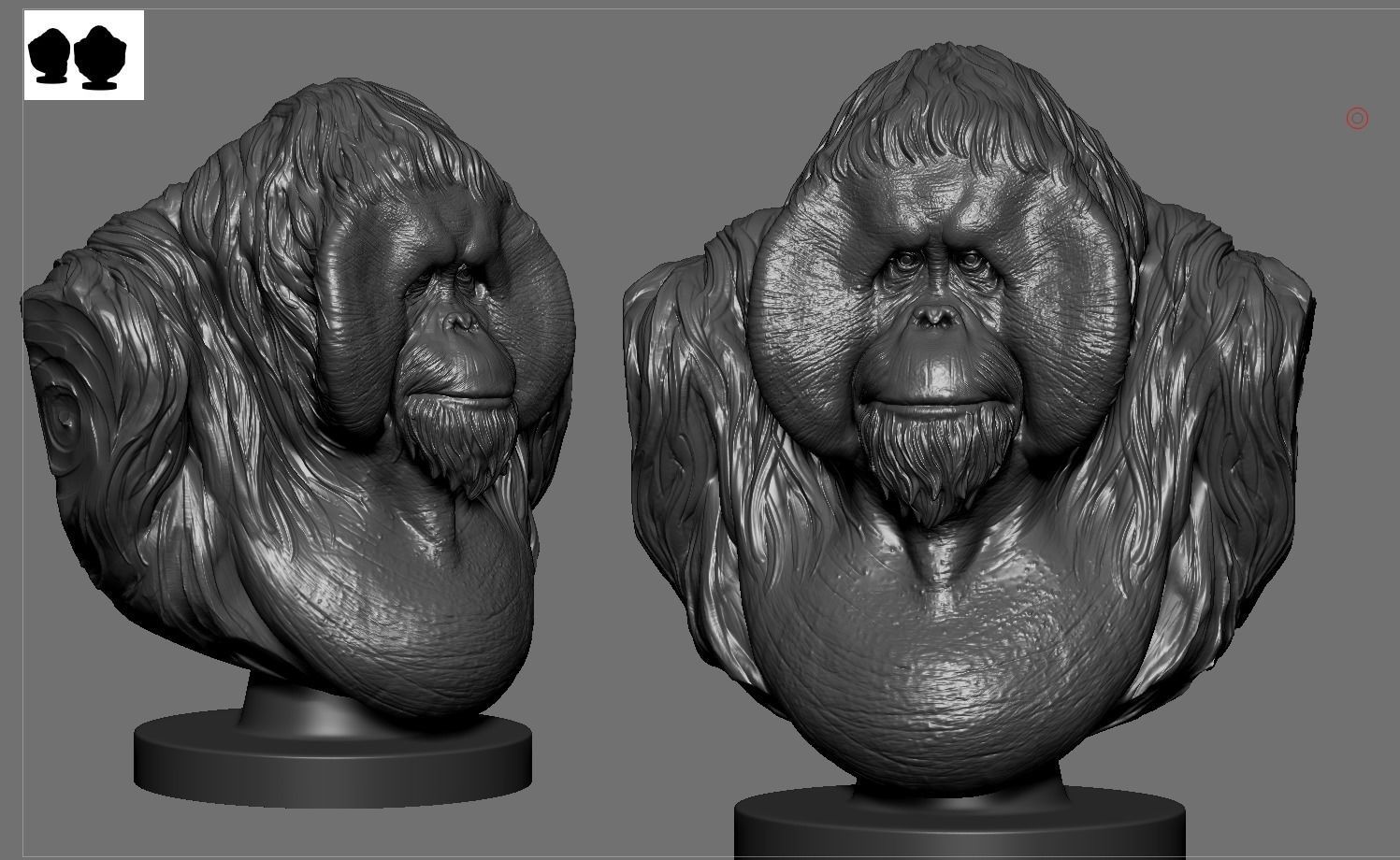 Orangutan Bust 3D print model_3