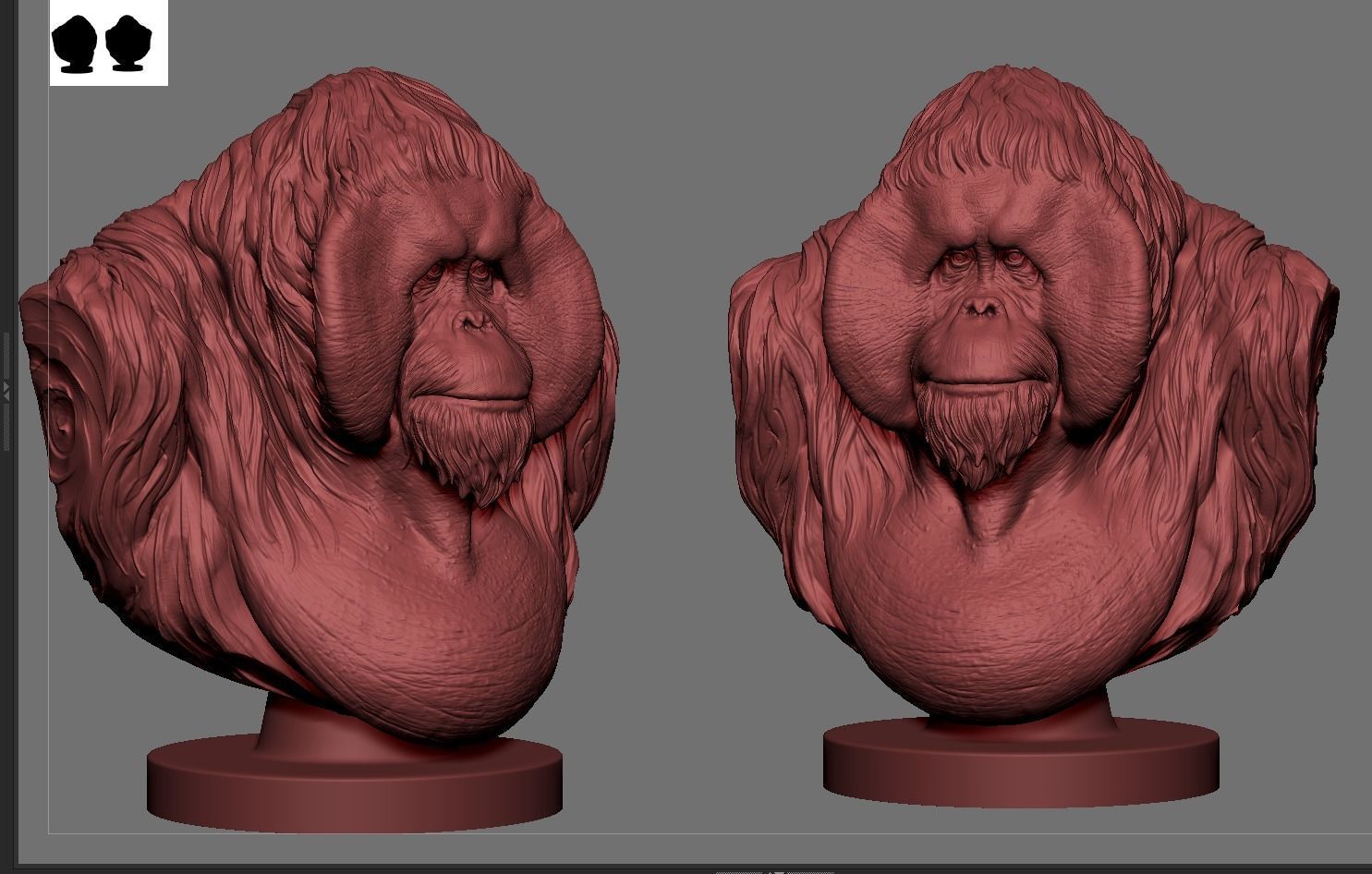Orangutan Bust 3D print model_5