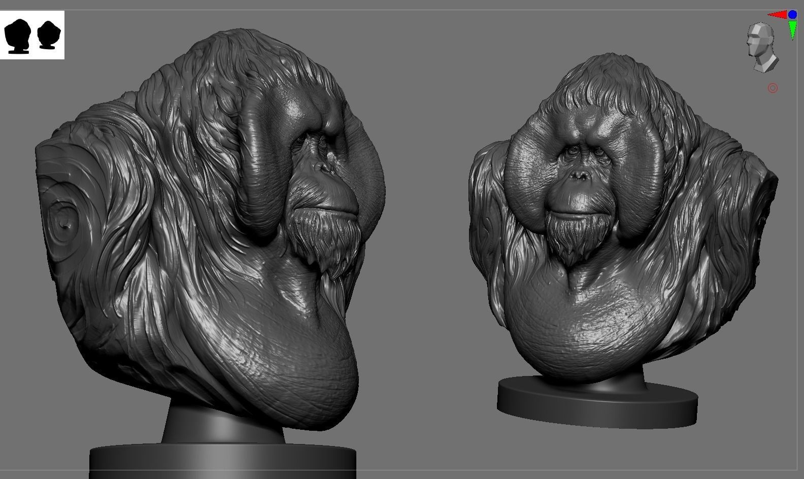 Orangutan Bust 3D print model_4