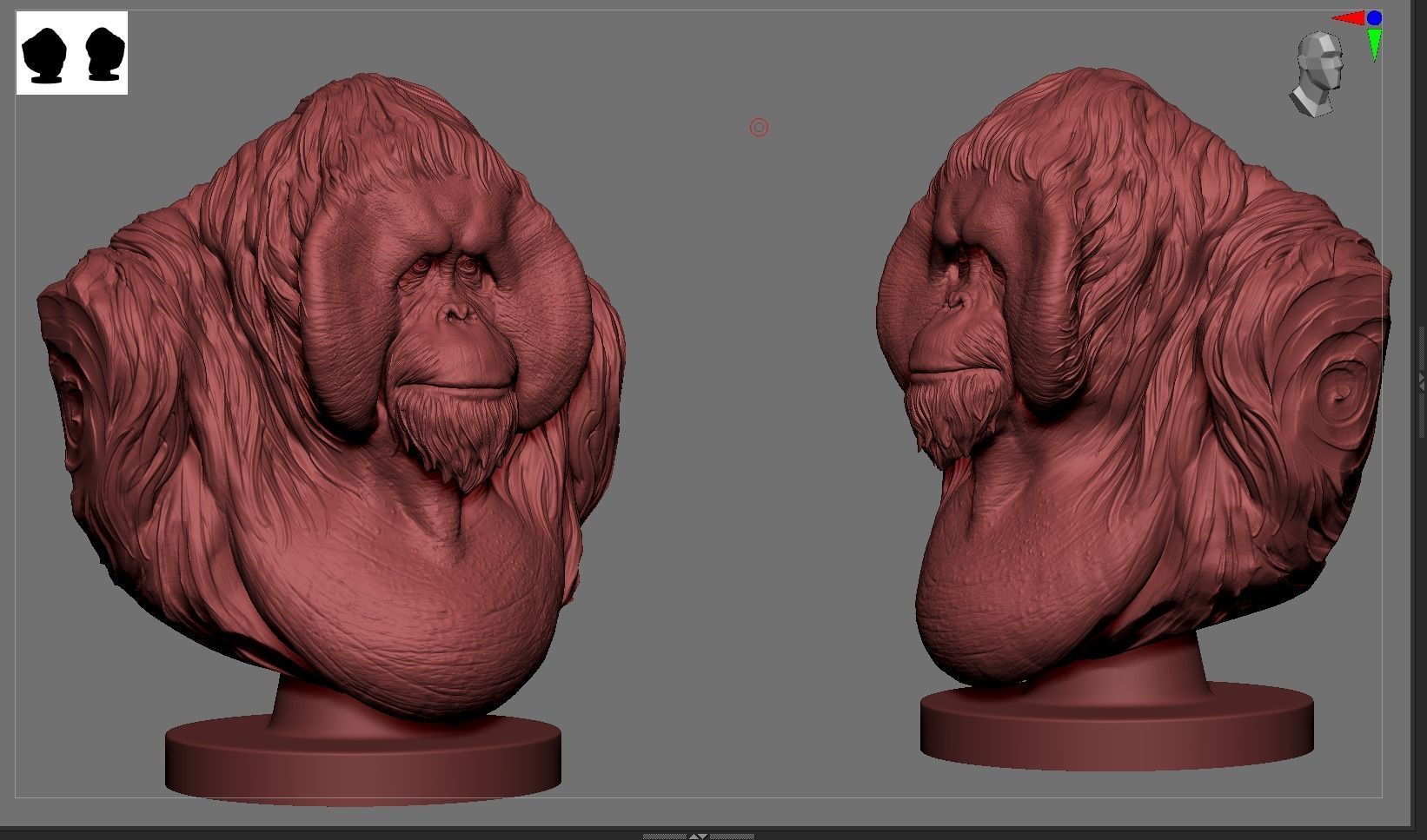 Orangutan Bust 3D print model_7