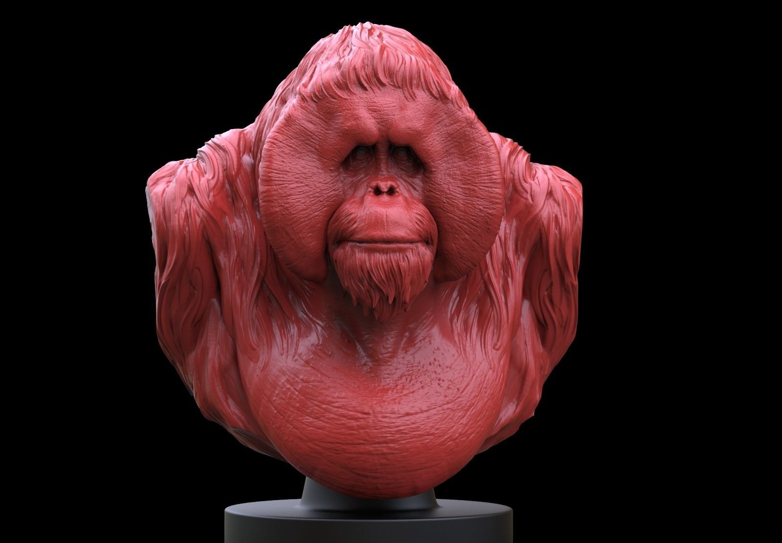 Orangutan Bust 3D print model_1