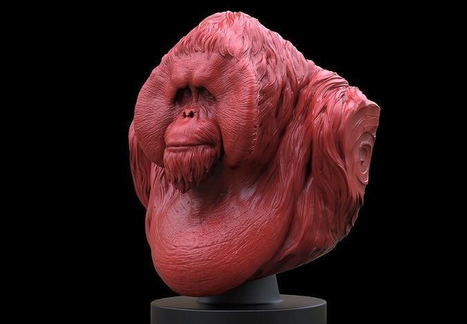 Orangutan Bust 3D print model