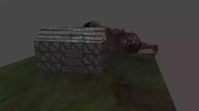 Library house on grassy field