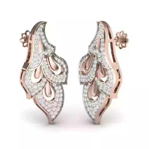 Women Earrings 3D print model