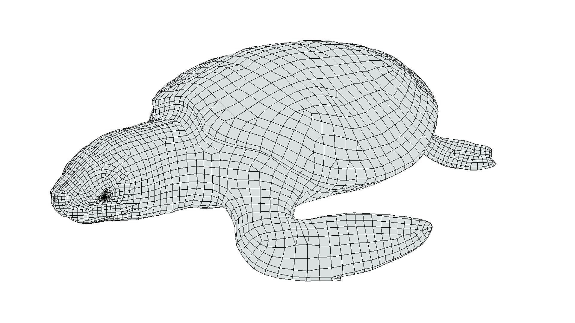 Green Turtle Low-poly 3D model_2