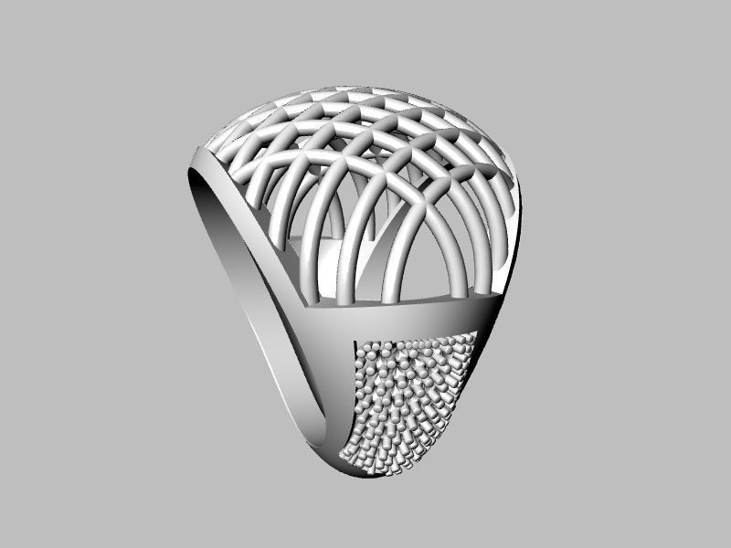 pave jali ring stl verified 3D print model_12