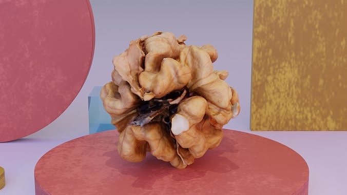 Walnut kernel high-poly 3D model 4