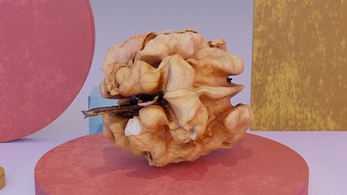 Walnut kernel high-poly 3D model 3