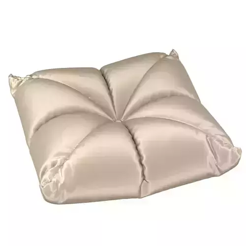 pillow cushion