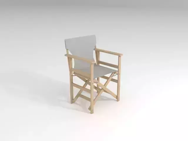 Director Chair