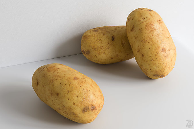 Potato 3D model