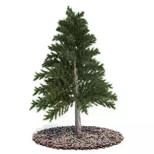 Decorative Miniature Tabletop Evergreen Pine Tree 3D model