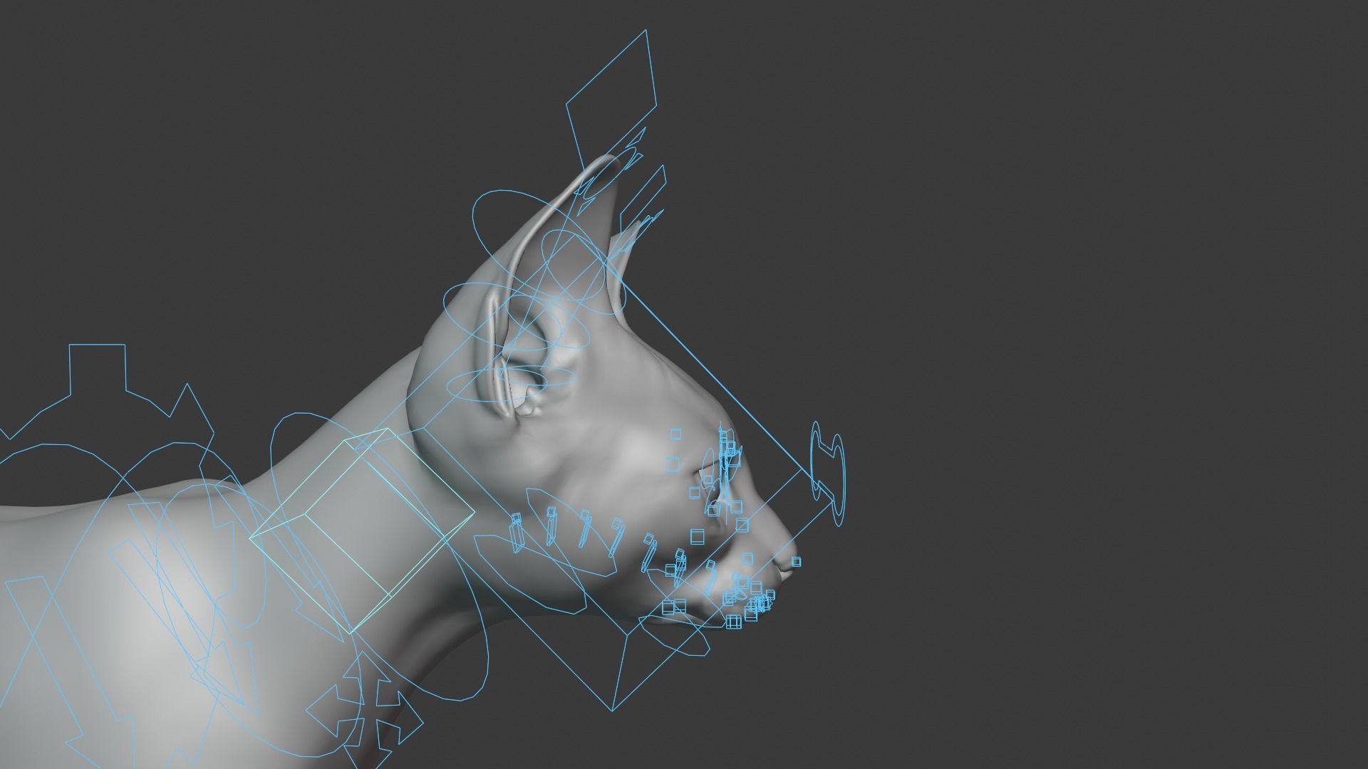 Orange Cat Animated VFX Grace 3D model_18