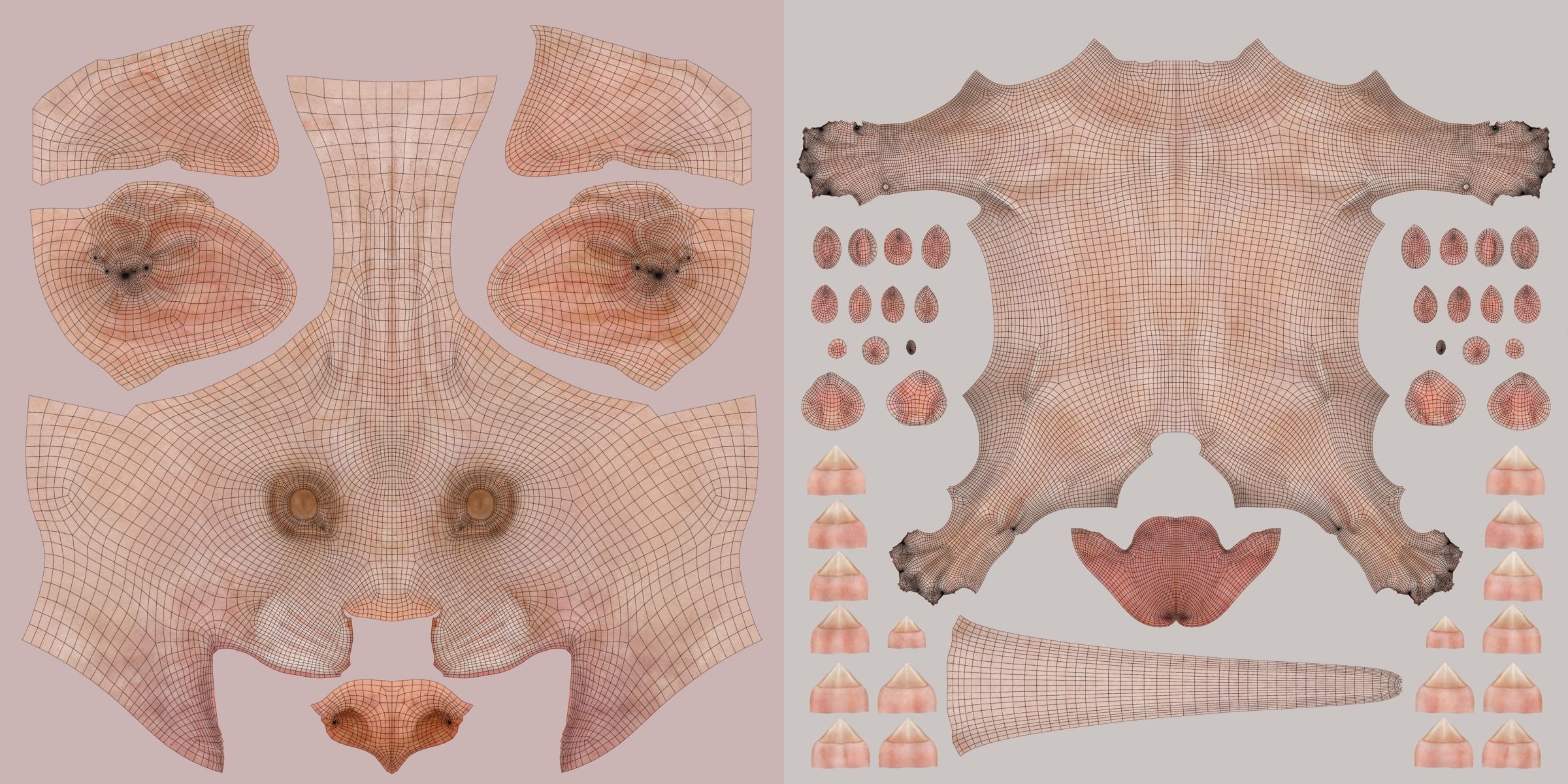 Orange Cat Animated VFX Grace 3D model_24