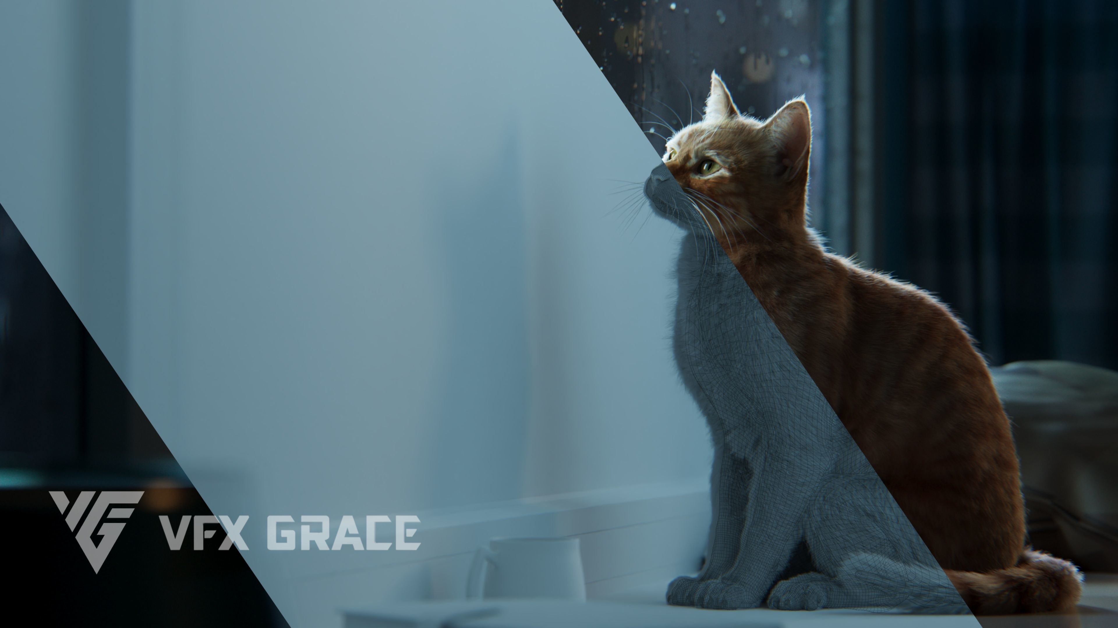 Orange Cat Animated VFX Grace 3D model_6