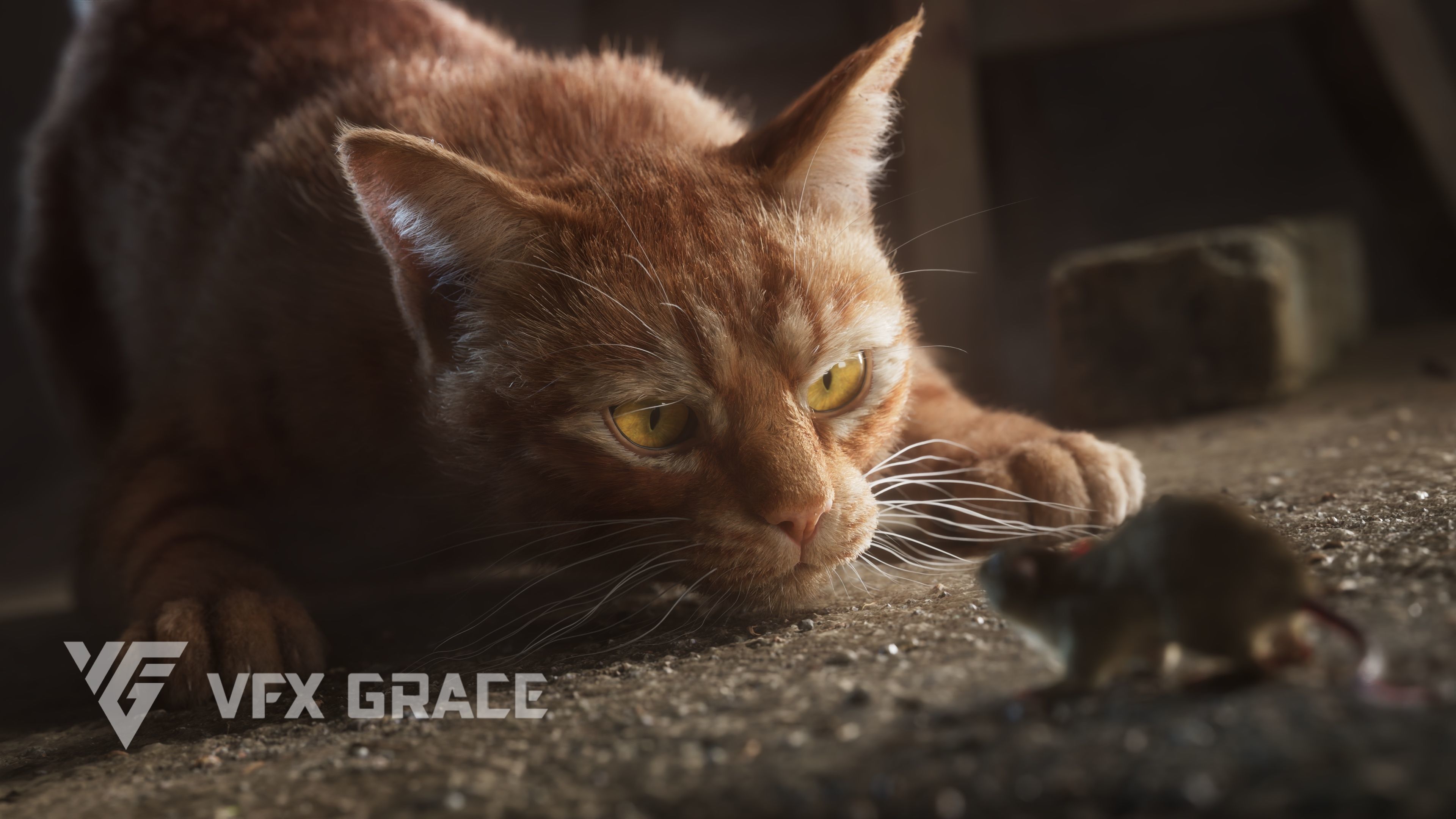 Orange Cat Animated VFX Grace 3D model_7