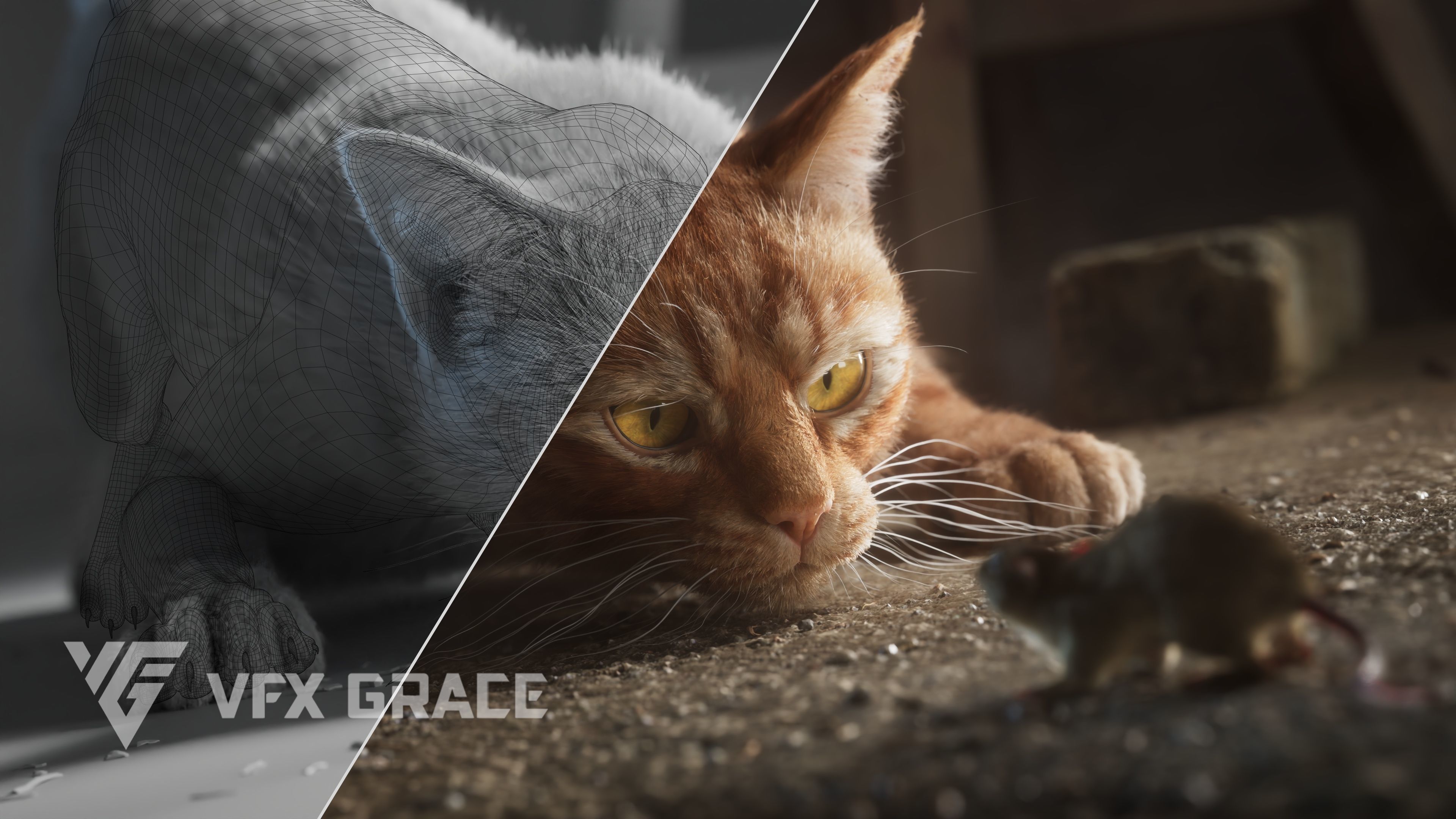 Orange Cat Animated VFX Grace 3D model_8