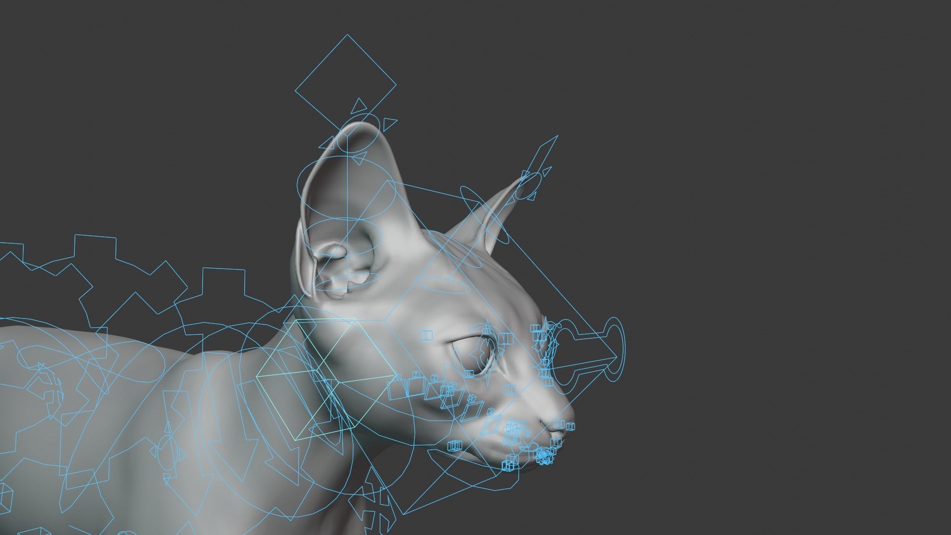 Orange Cat Animated VFX Grace 3D model_17