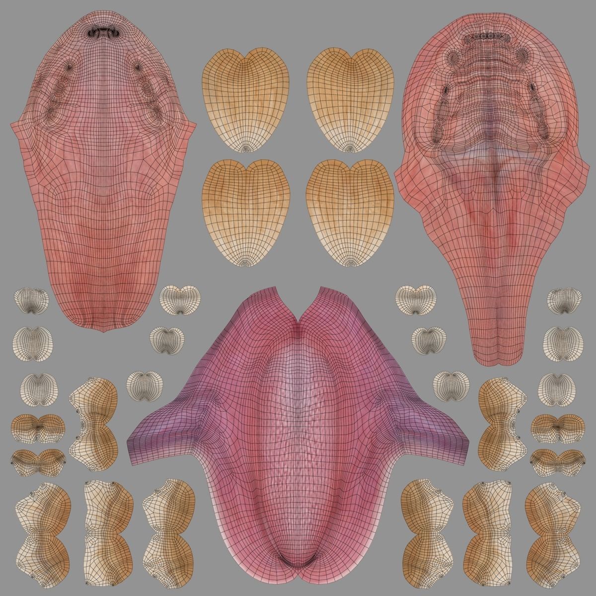 Orange Cat Animated VFX Grace 3D model_25