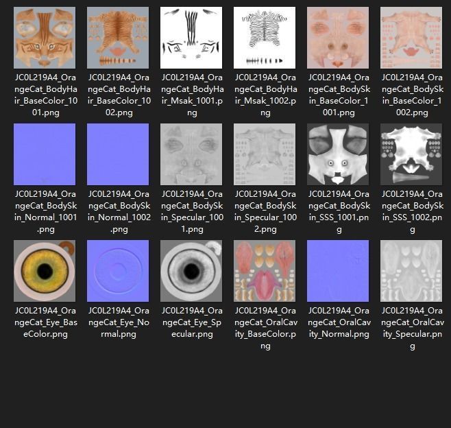 Orange Cat Animated VFX Grace 3D model_22