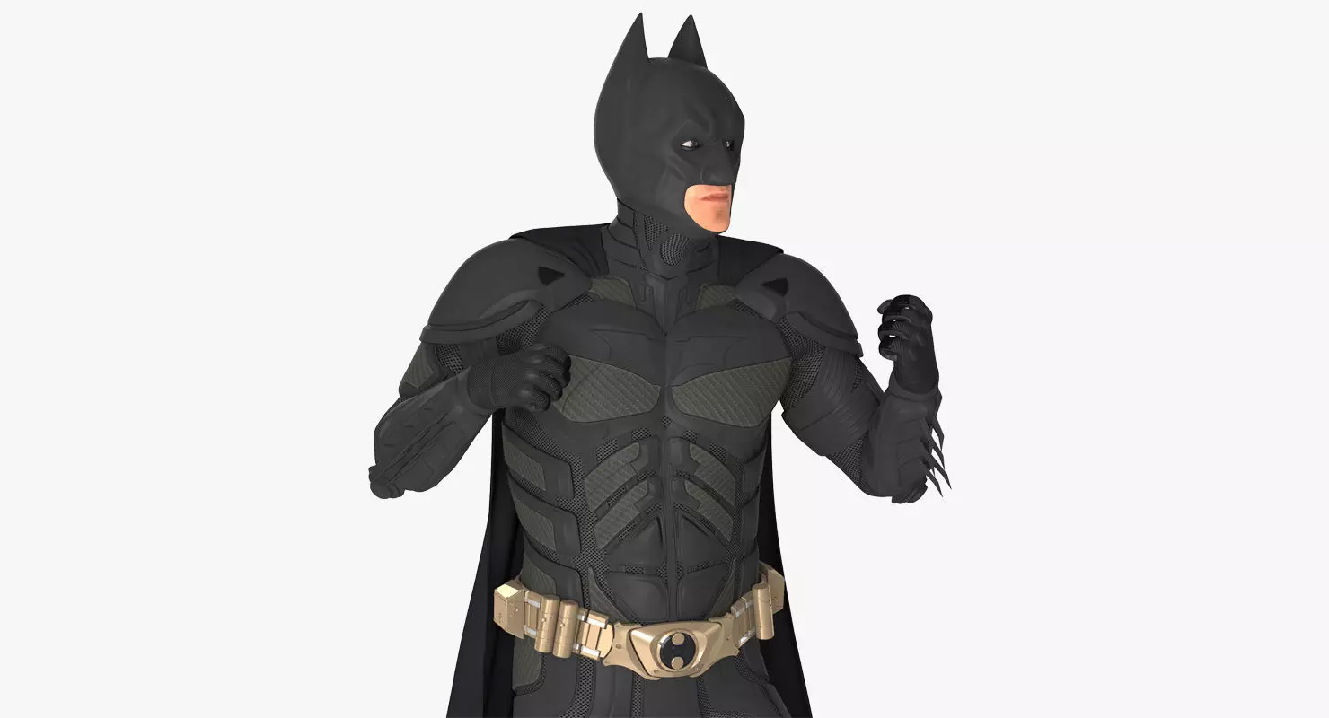Batman Fighting Pose  3D model_0
