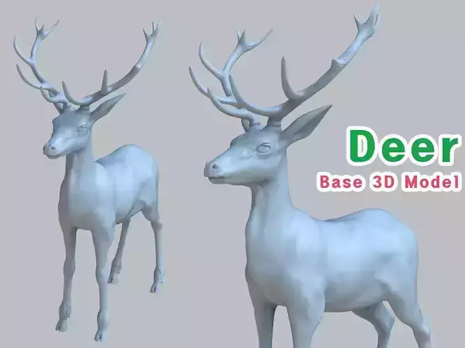 Deer model