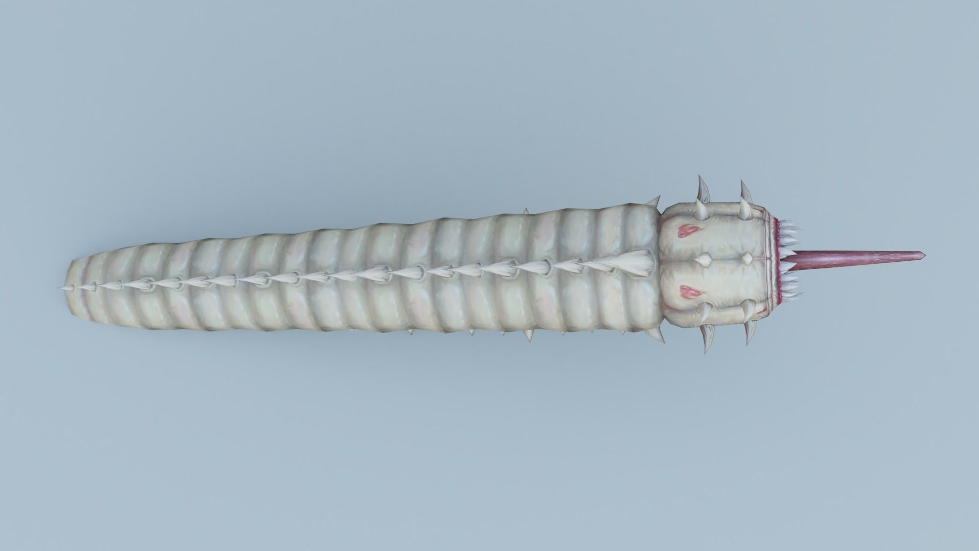 Monster insect worm boss shachong 3D model_2